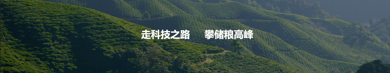 电脑幻灯片一