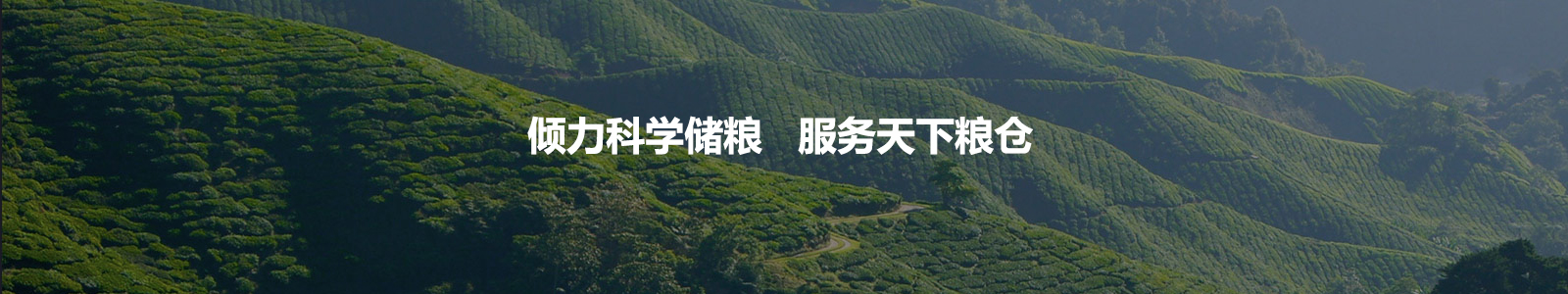 电脑幻灯片二